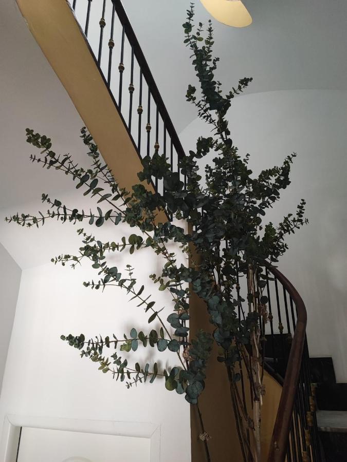 Apartamento Albarino 23 Novelda Εξωτερικό φωτογραφία